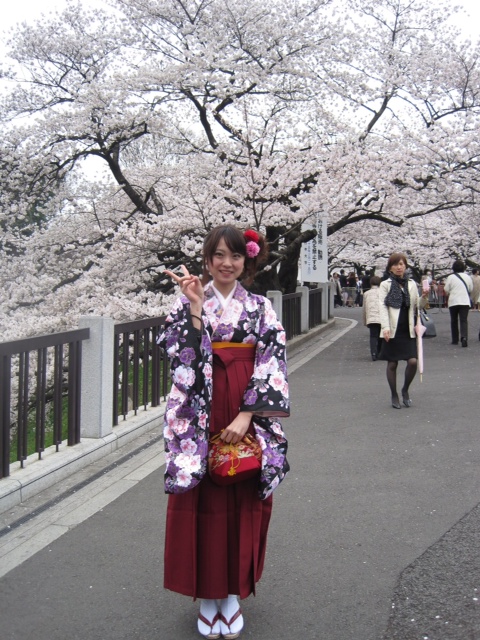 画像1: 大桜
